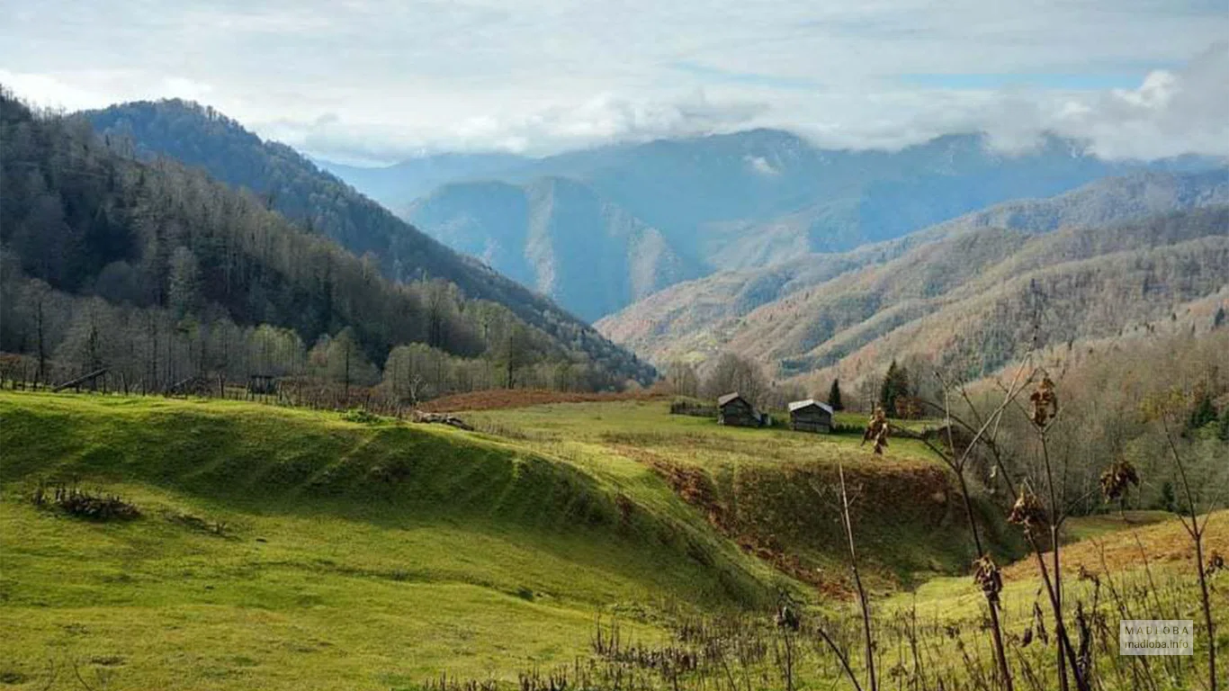 Горы и долины Грузии с Trip Georgia