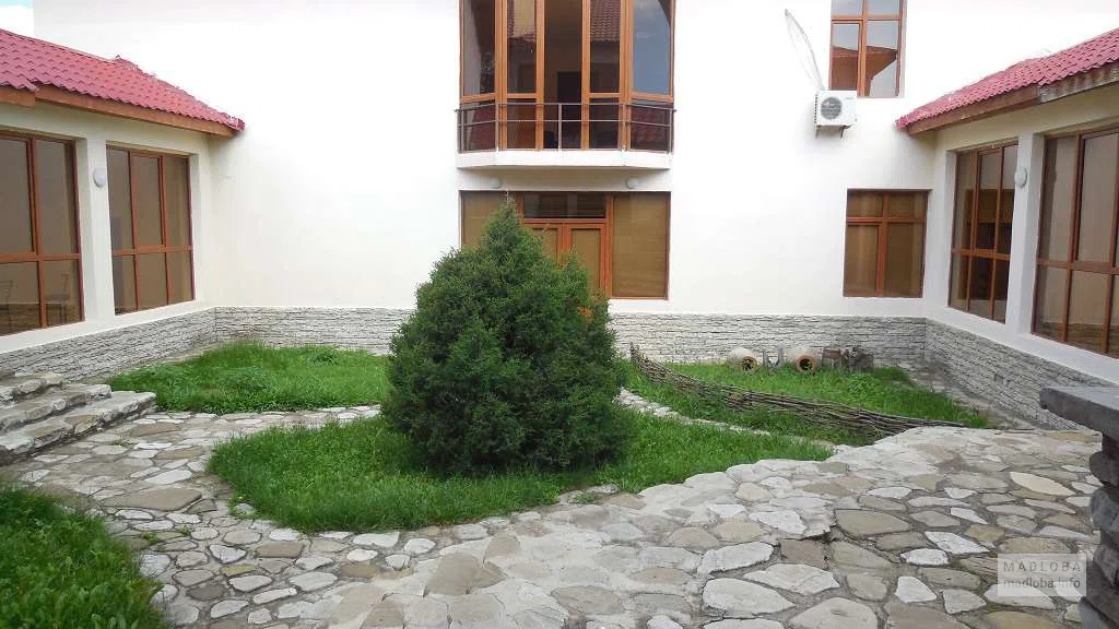 Маленькое дерево во внутреннем дворе центра посетителей Вашловани