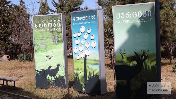 Информационные билборды на территории центра посетителей парка Вашловани