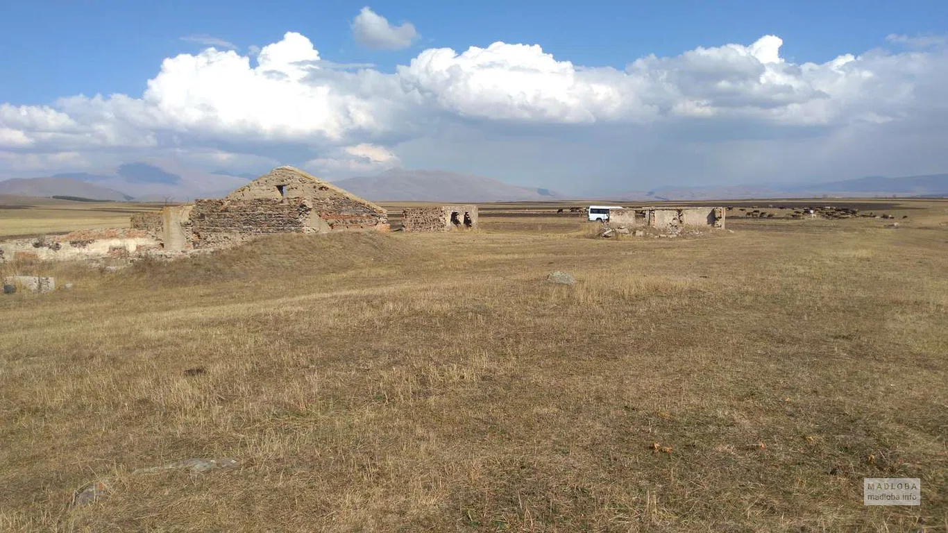 Центральный городской парк Сад Ниноцминды