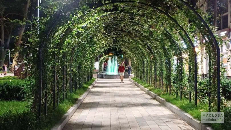 Аллея в Центральном парке Кутаиси
