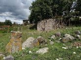 Церковь Богородицы в Диди-Гомарети