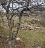 ღვთისმშობლის ეკლესია, თეზი