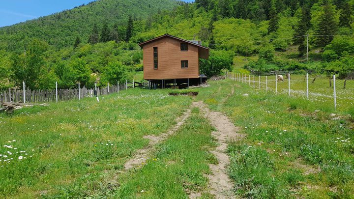 Tsezarichi's Cottage