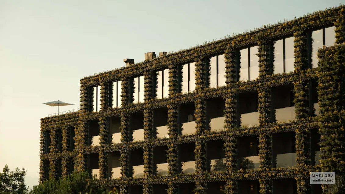 Tsinandali Estate Radisson Collection Hotel