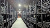 Tsinandali Enoteca