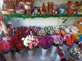 ყვავილების მაღაზია ბოლნისი