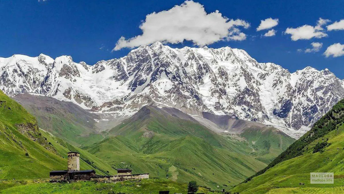 Туристическое агентство BatumiFun