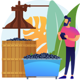 🍷 Винодельни