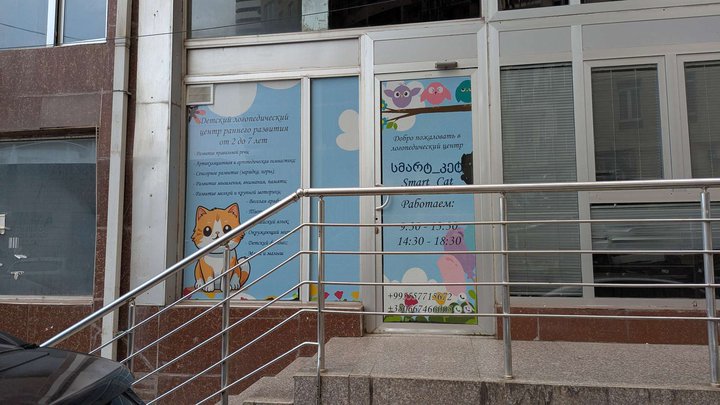 Учёный кот (Smart_cat)