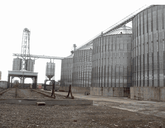 Поставщик кормов для с/х животных и птиц "Unigrain Georgian Group"