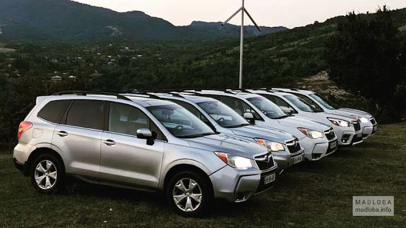 Автопарк агентства по аренде автомобилей "Ushba"