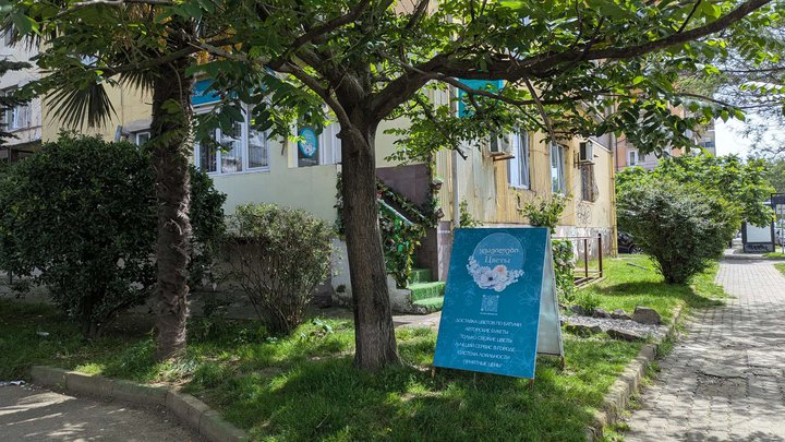 ვალენას ყვავილები