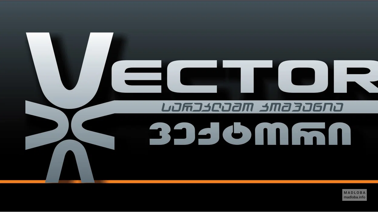 Vector