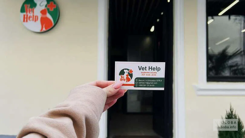 Ветеринарная клиника "Vet Help"