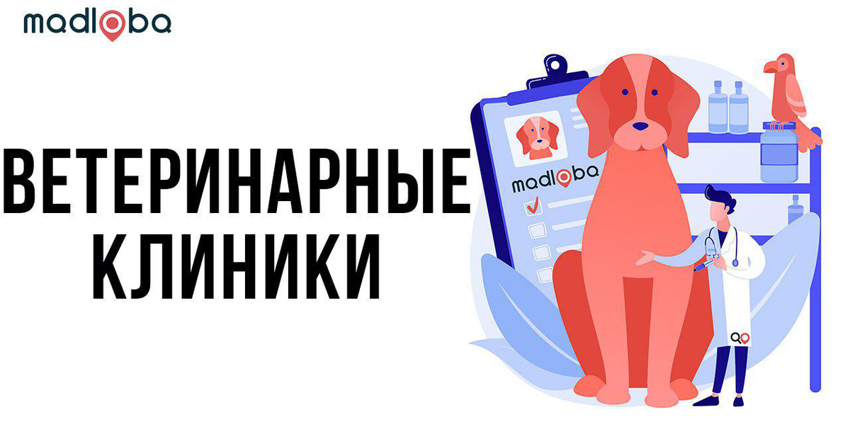 Отзыв лучшему ветеринару. Рейтинг ветклиник.