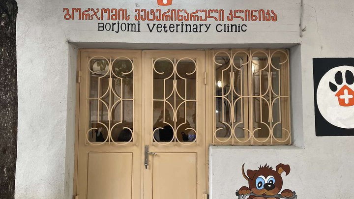 Veterinary Clinic Borjomi