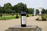 Company Vinifera