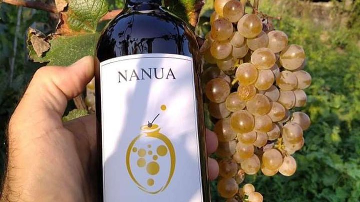 Nanua Winery Gia Chubinidze