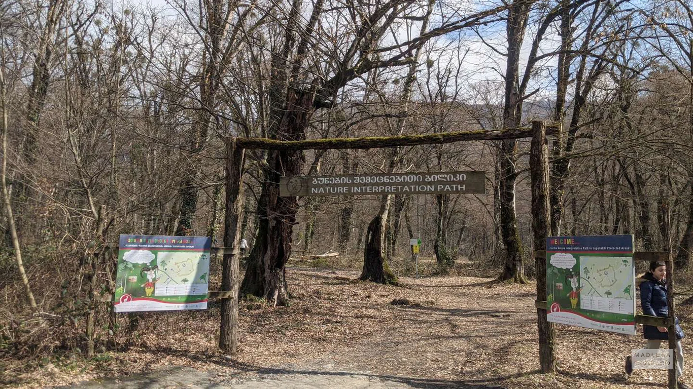 Вход в национальный парк в Лагодехи