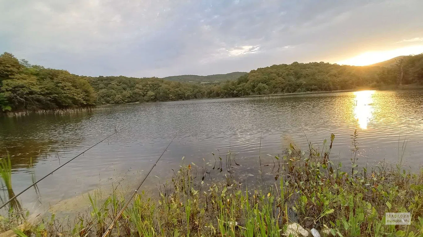 Рыбалка на рассвете на тихом Водохранилище Лакби