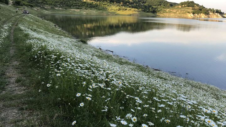 Водохранилище Алгети_007.jpg