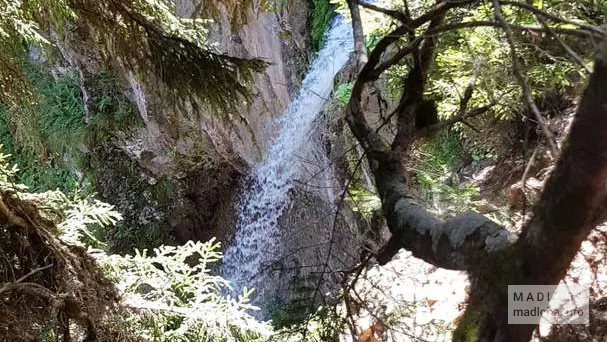 Вид на Водопады Бако сквозь деревья