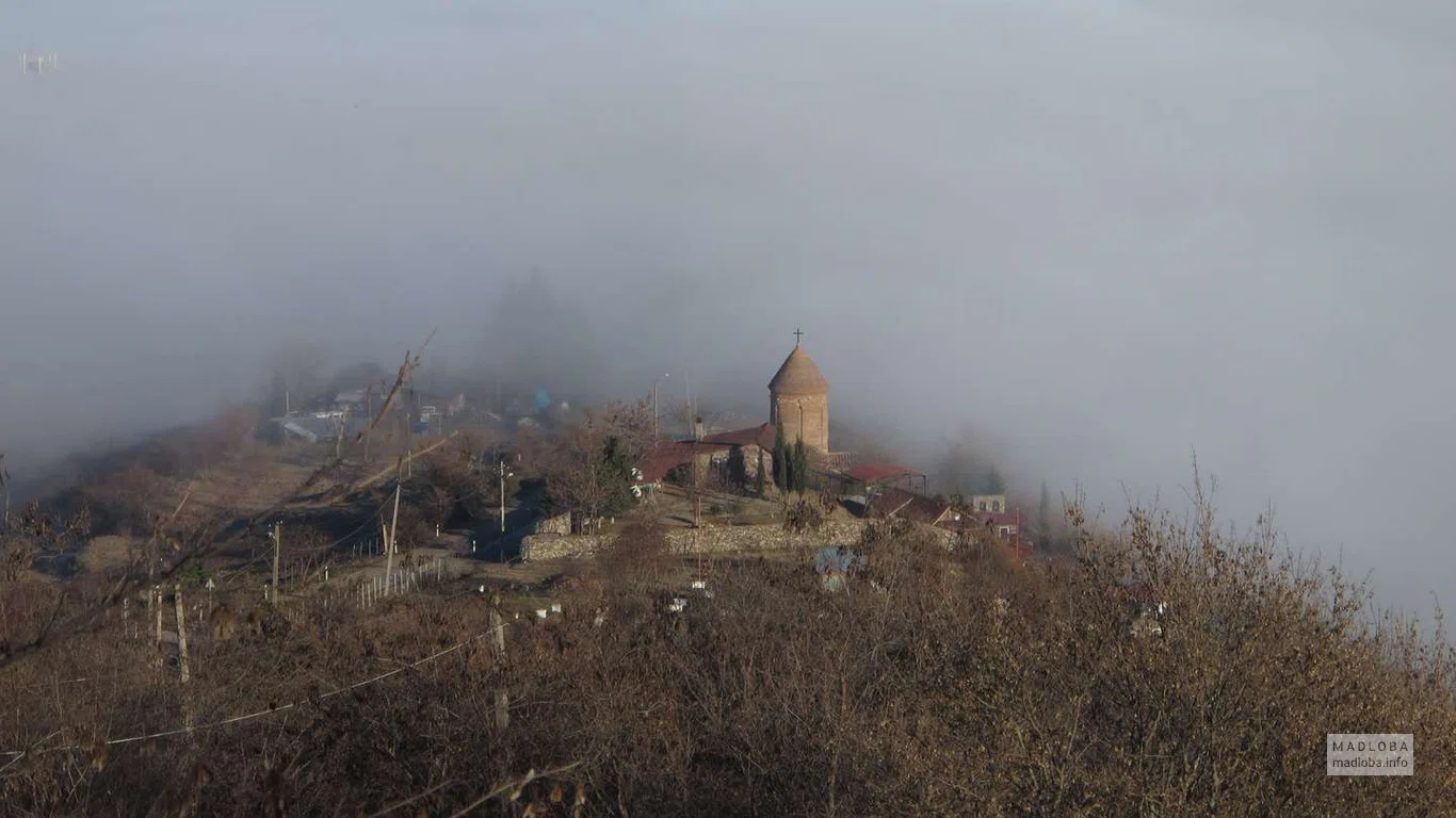 Вид сверху на Вознесенский монастырский комплекс Веджини