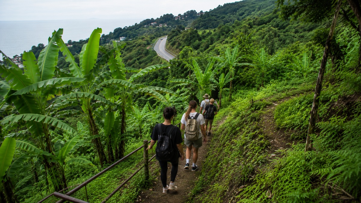 Comfortable shoes and a slow pace make the descent through Banana Grove easier, especially after rain.