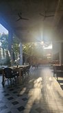 Wine Yard