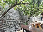 Wine Yard