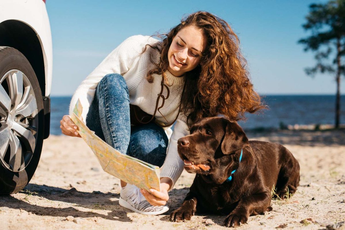 A woman crouching beside her car reading a map with her Labrador resting nearby on the sand near the sea — illustrating a call for reviews on traveling with a dog in Georgia.