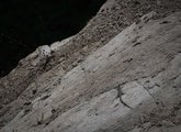 ClearPhoto
