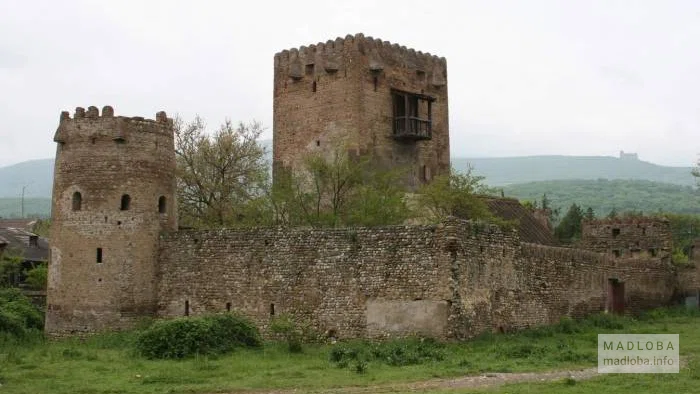 Замок Схвило возле села Пантиани