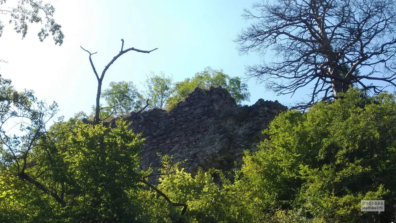 Solovey Castle in Shida Kartli