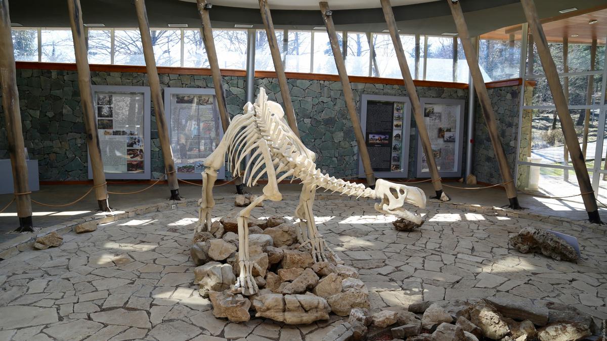 Скелет динозавра в Заповеднике Сатаплиа