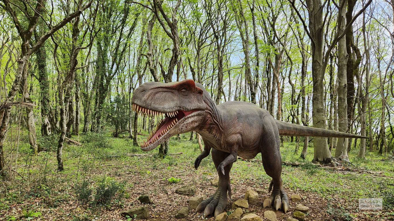 Тираннозавр в Заповеднике Сатаплиа
