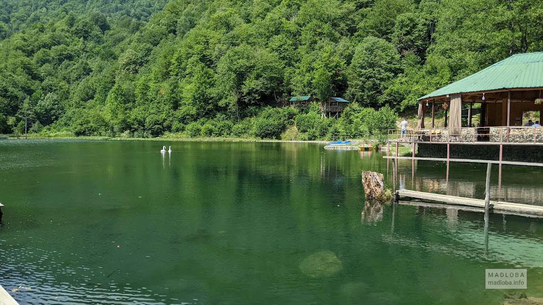 Зелёное озеро — природная оазис Рачи в тиши лесов