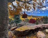 Женский монастырь Ортубани