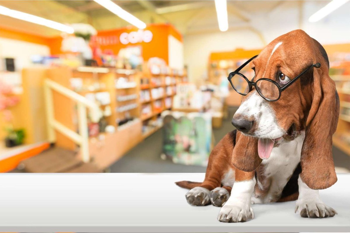 Zoomagazin_06.original