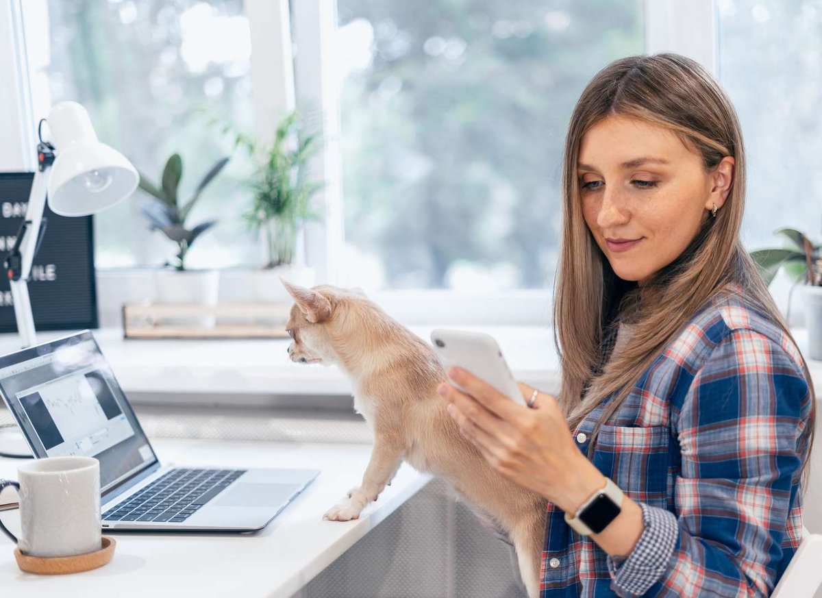 Zoomagazin_08.original