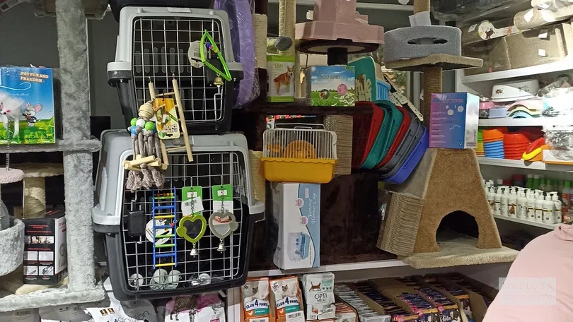 зоомагазин 4 Paws