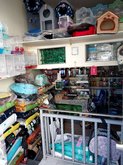 Pet store (Queen Tamara St.)