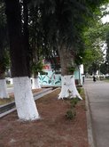 Бульвар Зугдиди