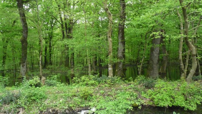 🌳 Two new nature reserves have opened in Georgia.