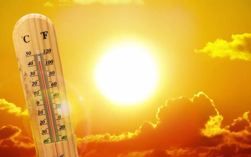 Аномальная жара в Грузии