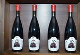 Askaneli Winery&Distillery