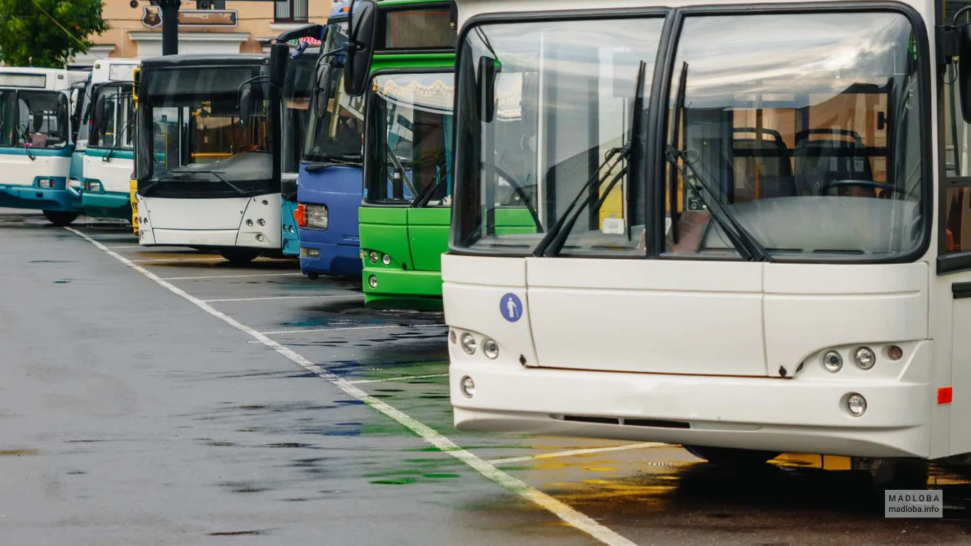 Остановка автобусов и маршруток до Батуми из Сарпи