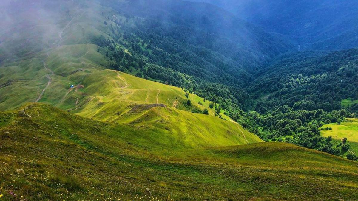 Горные холмы и леса в Грузии