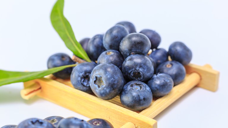 Georgia sets berry record: blueberry exports have quadrupled